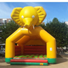 Springkussen Jumbo